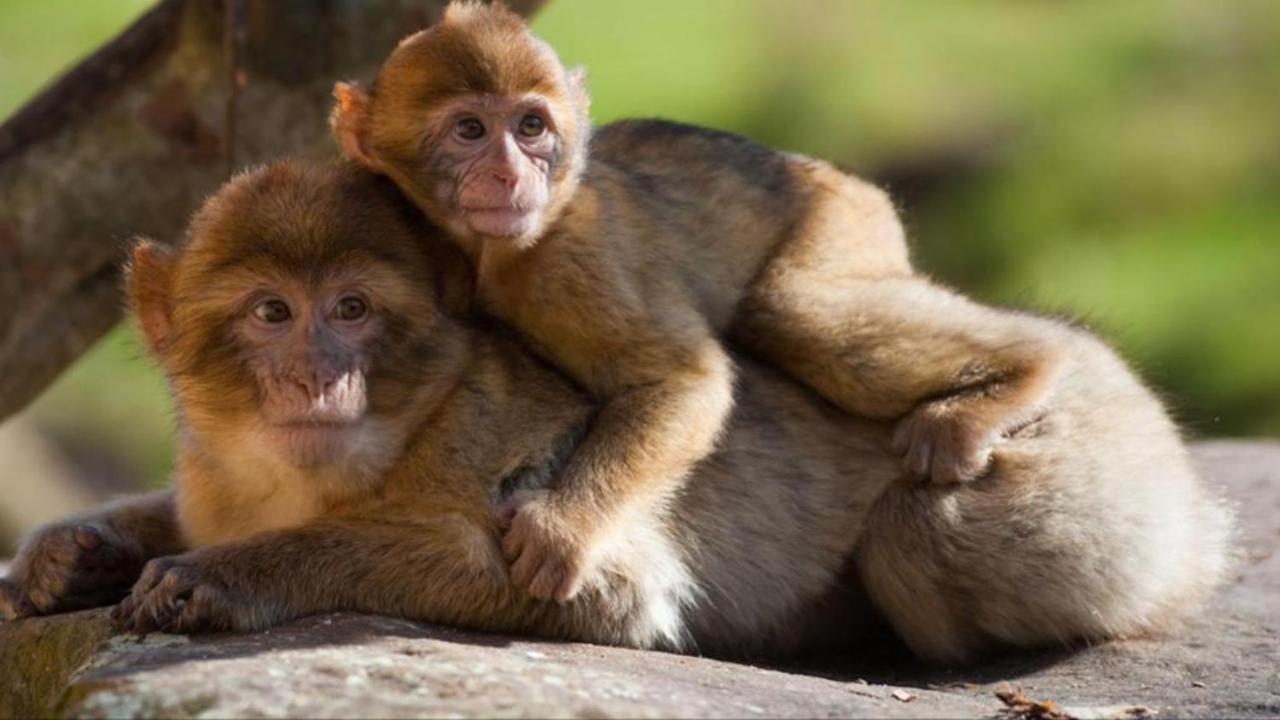 La Brie A 15Mn De Disneyland Et Village Nature Neufmoutiers-en-Brie Kültér fotó
